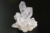 Attractive Amethyst Crystal Cluster - Las Vigas, Mexico #354997-2